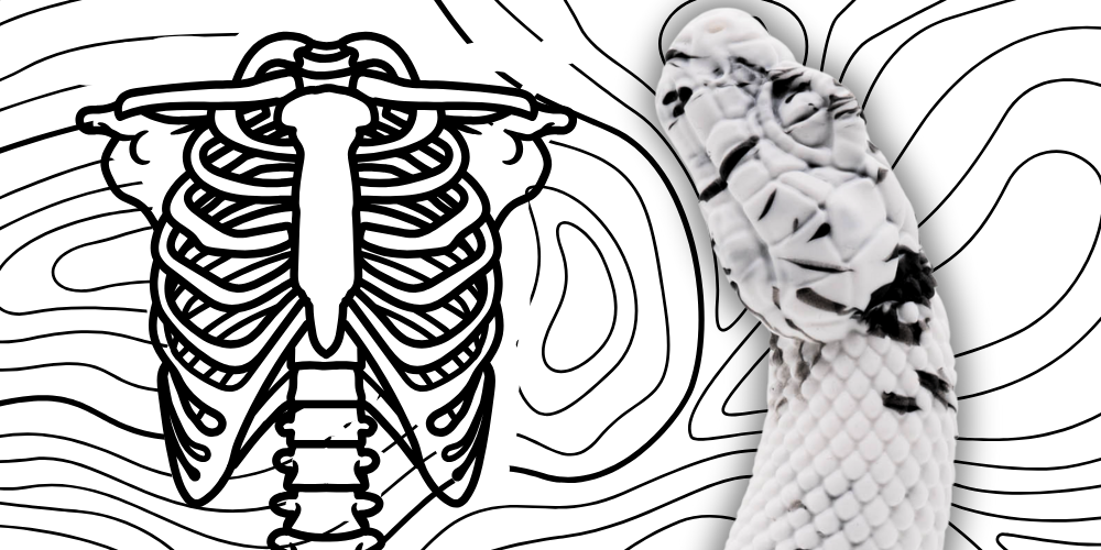 Ribbed Dildos Category | Twisted Fantasies