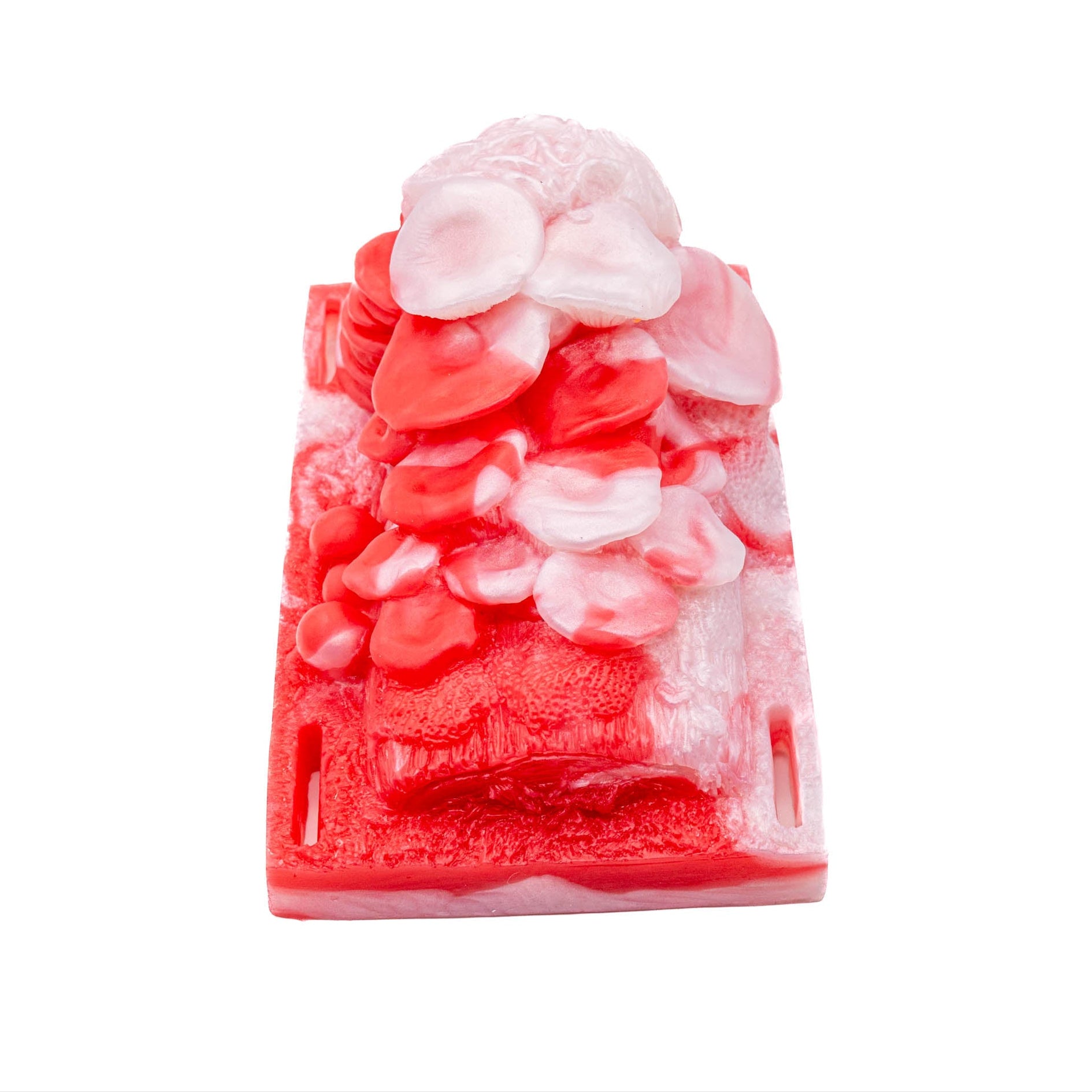 Muscaria the Mushroom Humping Saddle red white