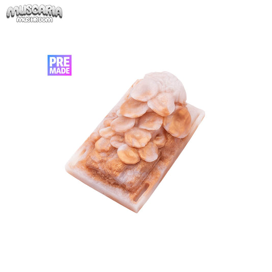 Premade Ready to Ship-Sex Grinder-Twisted Fantasies